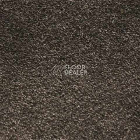 Ковролин Radici Lord Bisonte 328C фото 1 | FLOORDEALER